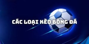 Tổng Hợp Các Loại Kèo Bóng Đá Phổ Biến Nhất Tại 8XBET