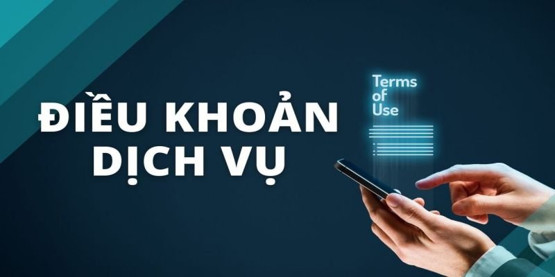 Đồng ý với các điều khoản