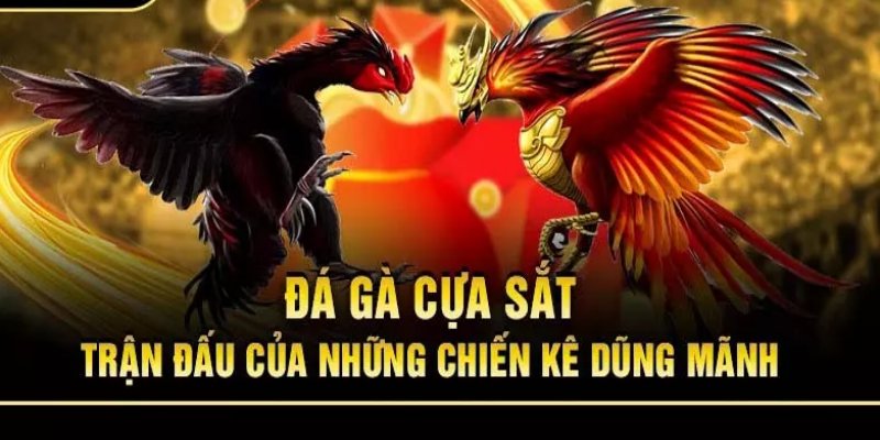 Loại hình đá gà cửa sắt tại 8XBET